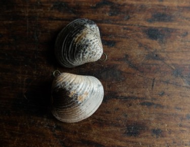 Empreinte de coquillage