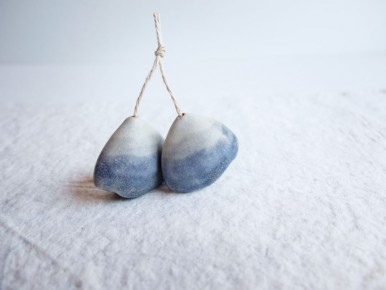 gousses-coquillages-paysages